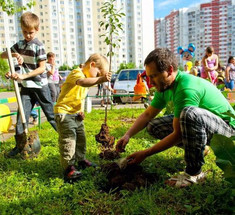 Как правильно сажать деревья в городе 