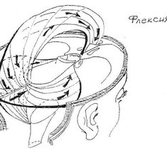 Серп мозга и 2 модели его движений в краниосакральном ритме по 3 осям