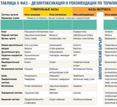 Х.Х.Реккевег: 6 ФАЗ появления любой болезни