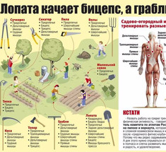 Дачный сезон: Упражнения на грядках 