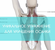 Самое уникальное упражнение для улучшения осанки