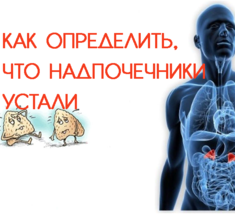 Надпочечниковая усталость: как понять, что ваши надпочечники устали