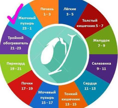 23.00-01.00 часы «Цзы-ши» — берегите желчный!