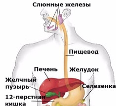 УДИВИТЕЛЬНАЯ роль магния в организме человека