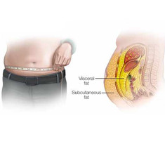 ЖИР на животе: Чем опасен и Как от него избавиться 