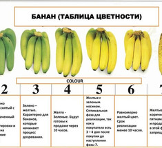 Зеленый банан, или Не забудь покормить микробиоту