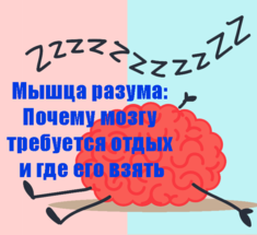 Мышца разума: Почему мозгу требуется отдых и где его взять