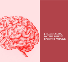 5 загадок мозга, которые нам ещё предстоит разгадать