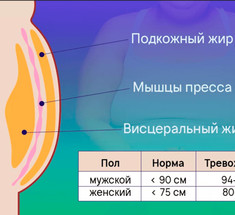 Внутренний жир:10 работающих правил, которые помогут от него избавиться