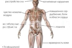 Вегето-сосудистая дистония и панические атаки: здоровье можно вернуть!