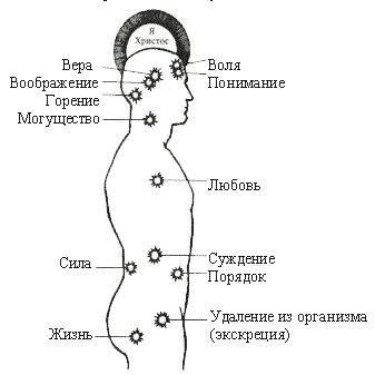 Секреты сознания: 12  целебных свойств 