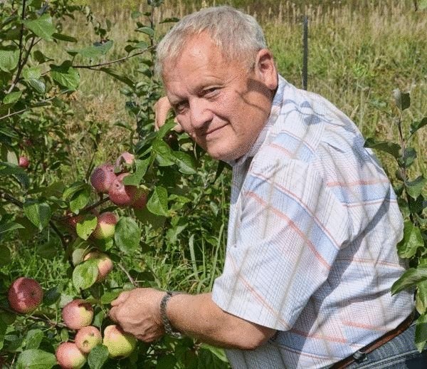 Как создать урожайный сад на песке без лопаты