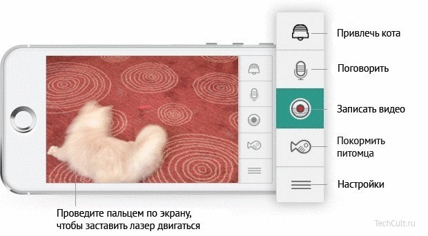 Гаджет Kittyo присмотрит, накормит и поиграет с вашим питомцем