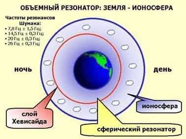 Что определяет качество жизни, или почему мы не бессмертны