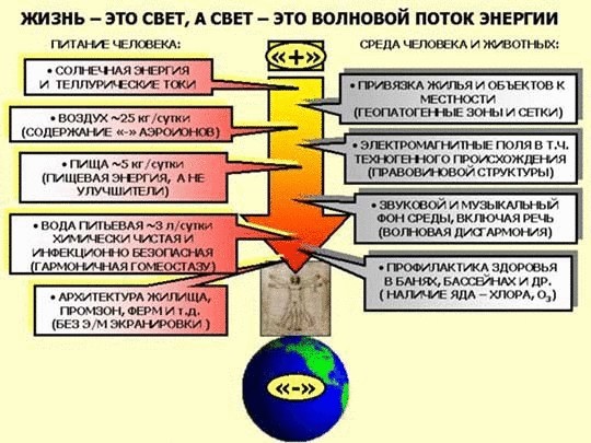 Что определяет качество жизни, или почему мы не бессмертны