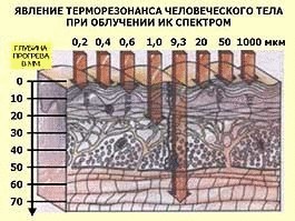 Что определяет качество жизни, или почему мы не бессмертны