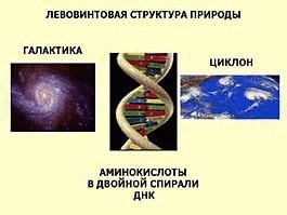 Что определяет качество жизни, или почему мы не бессмертны