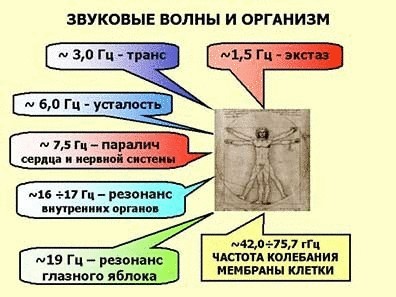 Что определяет качество жизни, или почему мы не бессмертны