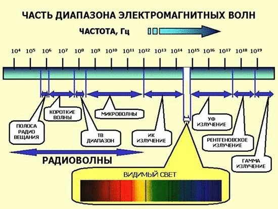 Что определяет качество жизни, или почему мы не бессмертны