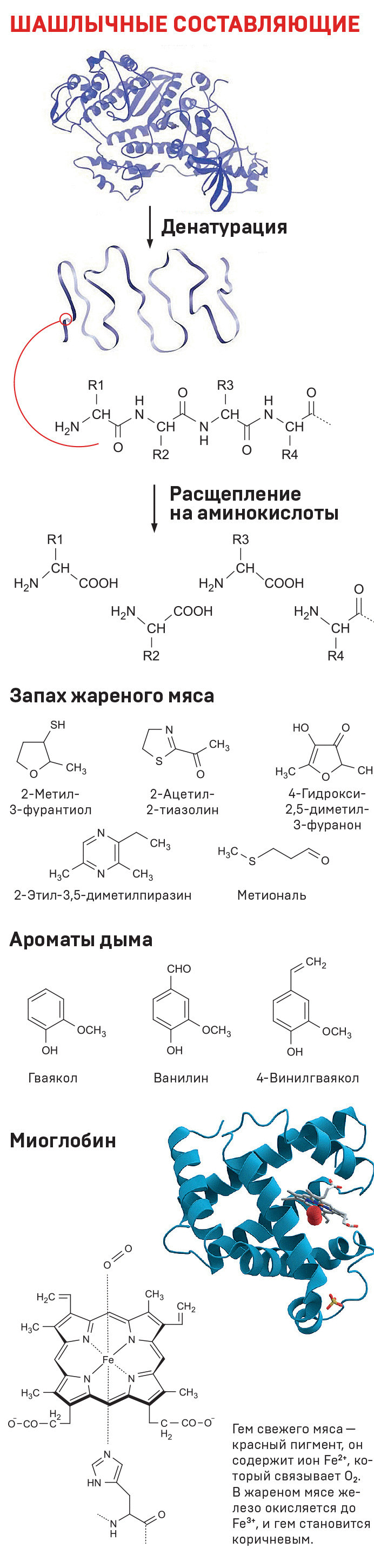 Шашлык денатурированный — кислота маринада разворачивает пептидную цепь