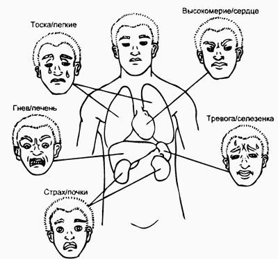 Пять Элементов и эмоции