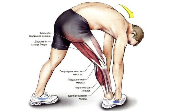 Комплекс упражнений на растяжку