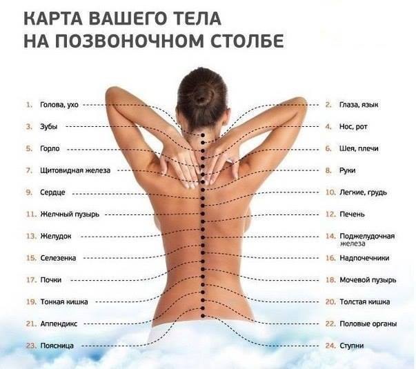 Простой ТЕСТ для оценки текущего состояния вашего ПОЗВОНОЧНИКА и СУСТАВОВ