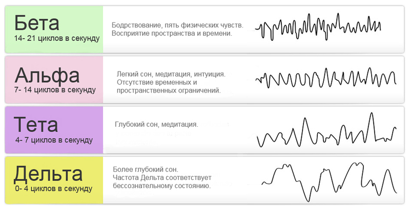 Мозговая активность. Это следует знать!