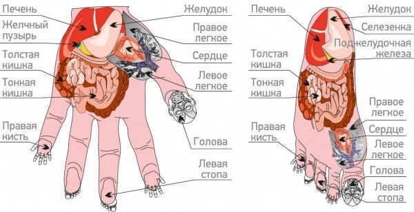 Су-джок-терапия: метод реанимации