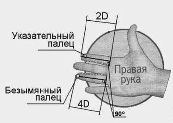 Пальцевый индекс: о чем говорят ваши руки!