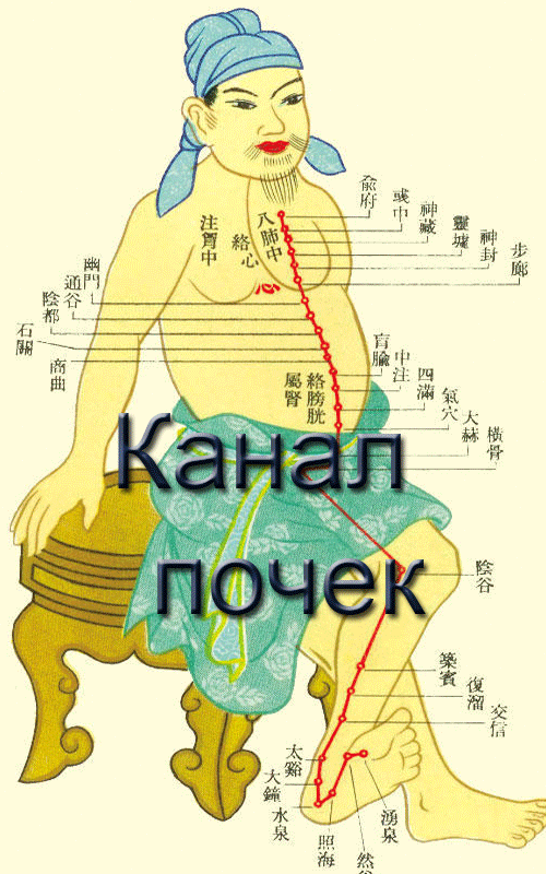 Как укрепить канал почек за 5 минут в день