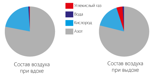 Когда душно: душное помещение и гиперкапния