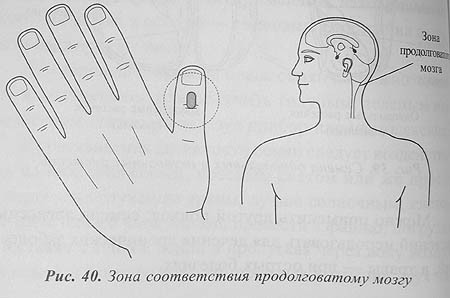 Использование внутренних лекарственных свойств растений для су-джок семянотерапии