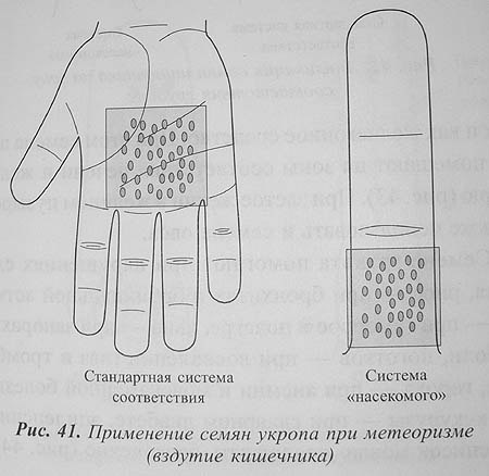 Использование внутренних лекарственных свойств растений для су-джок семянотерапии