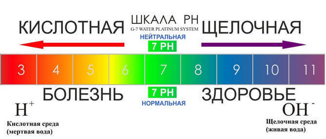 Узнайте закислен ли Ваш организм