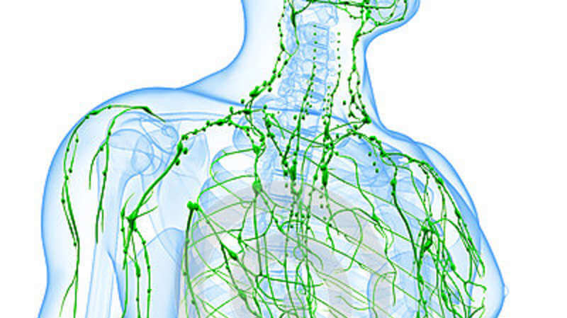 Как улучшить работу лимфатической системы