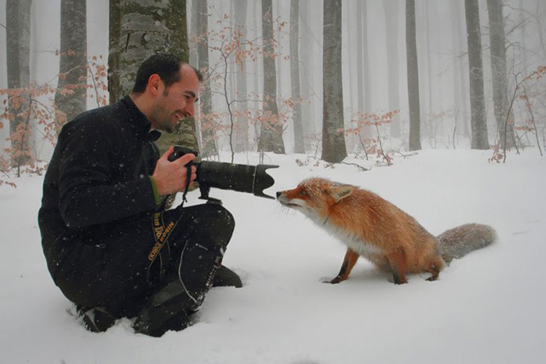 30 фото-зарисовок из жизни фотографов-натуралистов