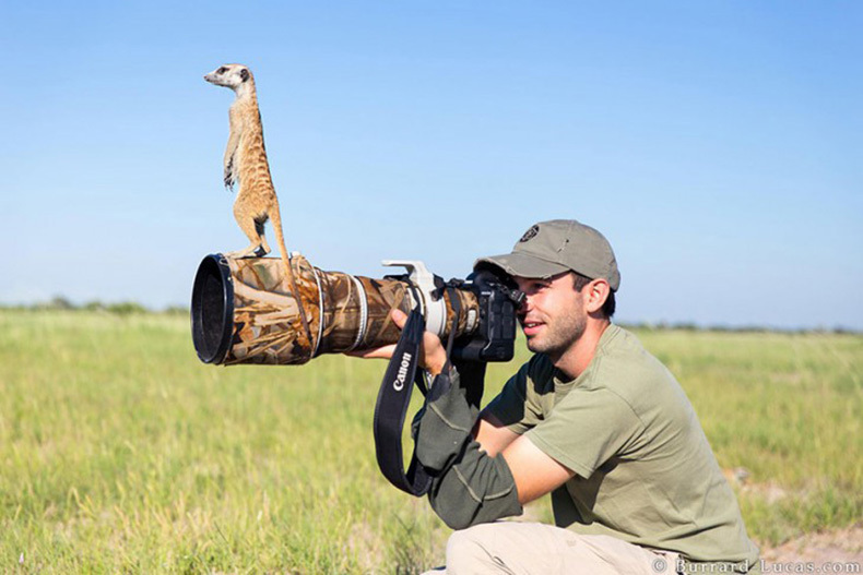 30 фото-зарисовок из жизни фотографов-натуралистов