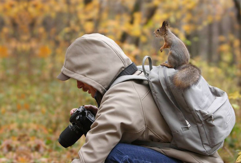 30 фото-зарисовок из жизни фотографов-натуралистов