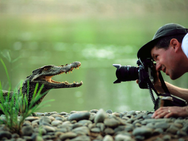 30 фото-зарисовок из жизни фотографов-натуралистов