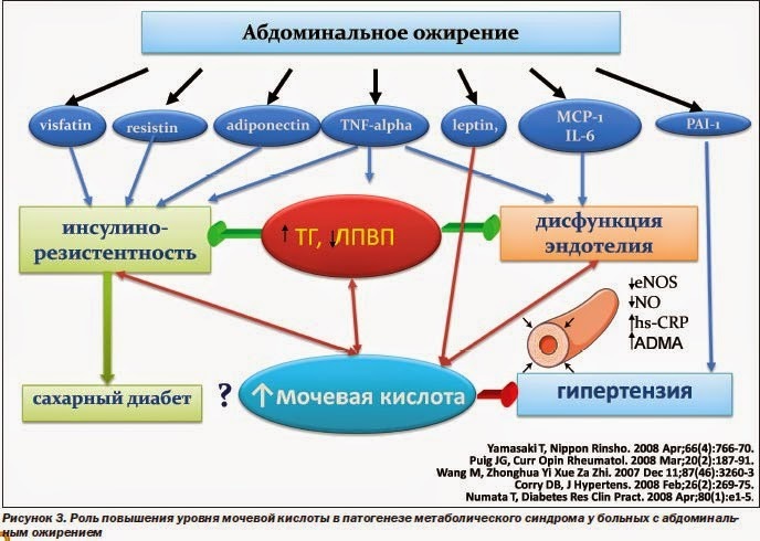 Чем грозит бессимптомный высокий уровень мочевой кислоты 