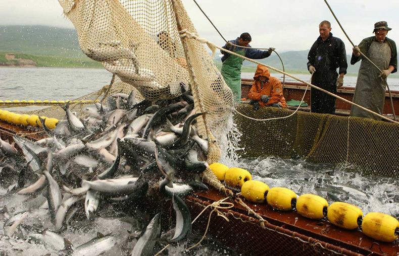 Морепродукты: большая ложь о большой пользе