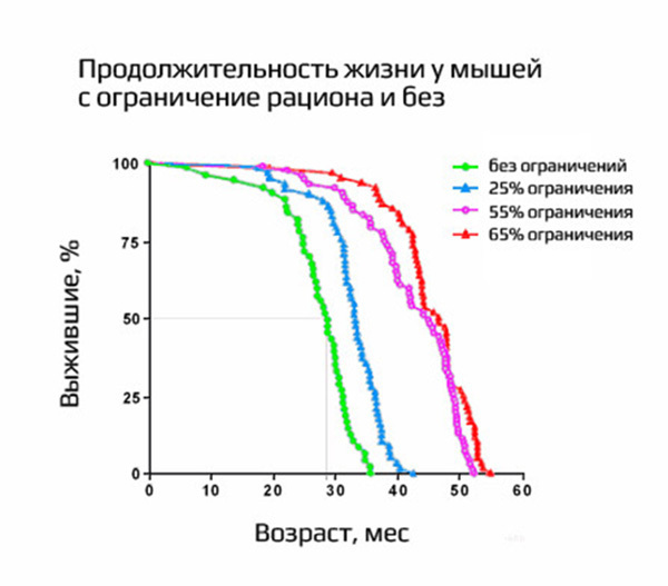 Малоедение или сознательное ограничение калорийности рациона