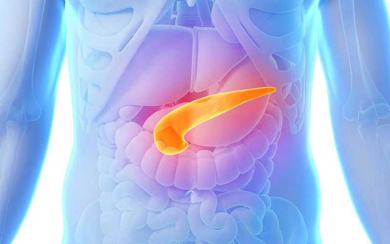 Потеря одного грамма жира из поджелудочной железы может вылечить диабета 2 типа