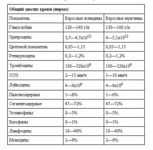  Общий анализ крови — это полезно знать!