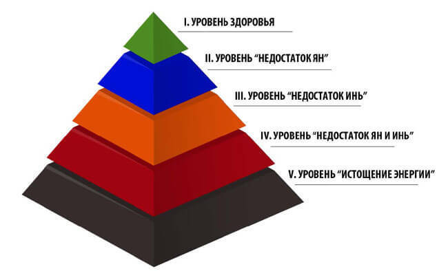 Пять основных уровней энергетического статуса организма