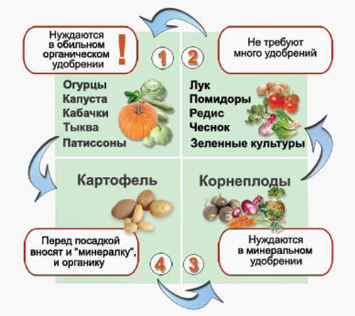 Севооборот на дачном огороде: умный возделывает урожай, а мудрый землю 