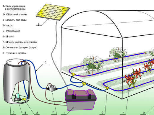 Как сделать систему полива для теплицы