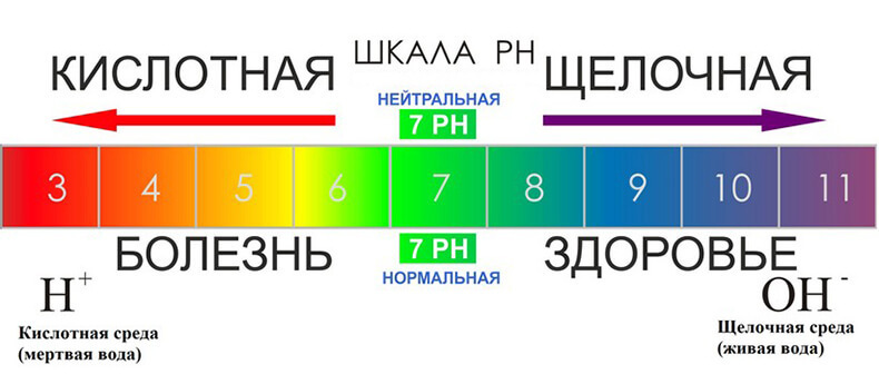 ВАЖНО! Чем грозит закисление организма