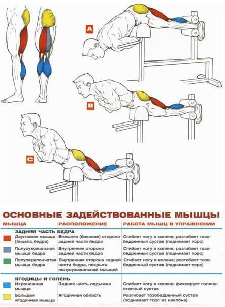 Как правильно делать гиперэкстензию